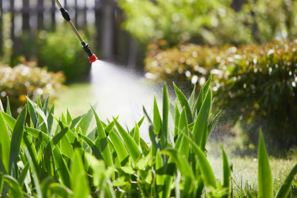24/7 Emergency Termite Control experts in Colfax, CA