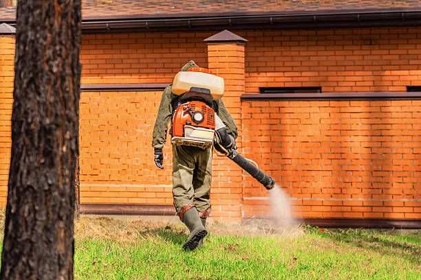 Top rated local Termite Control specialists in Colfax, CA